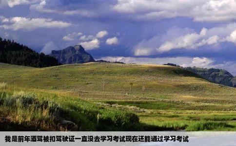 我是前年酒驾被扣驾驶证一直没去学习考试现在还能通过学习考试