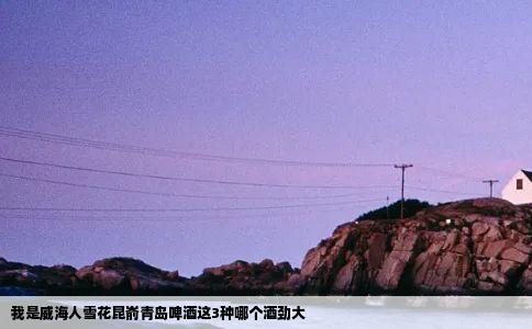 我是威海人雪花昆嵛青岛啤酒这3种哪个酒劲大