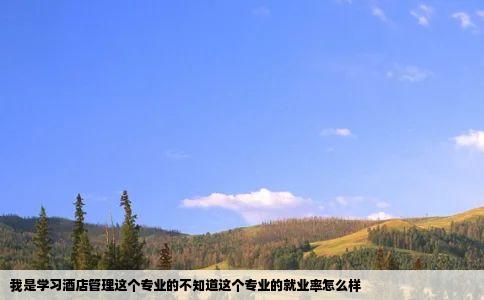 我是学习酒店管理这个专业的不知道这个专业的就业率怎么样
