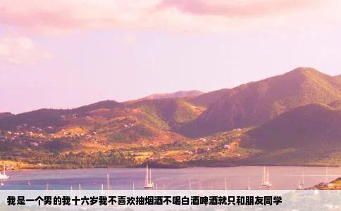 我是一个男的我十六岁我不喜欢抽烟酒不喝白酒啤酒就只和朋友同学