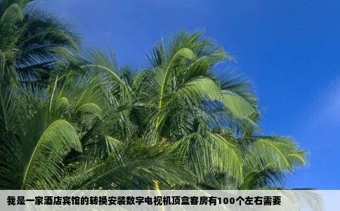 我是一家酒店宾馆的转换安装数字电视机顶盒客房有100个左右需要