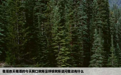我是昨天喝酒的今天胸口就疼深呼吸就疼请问我这有什么