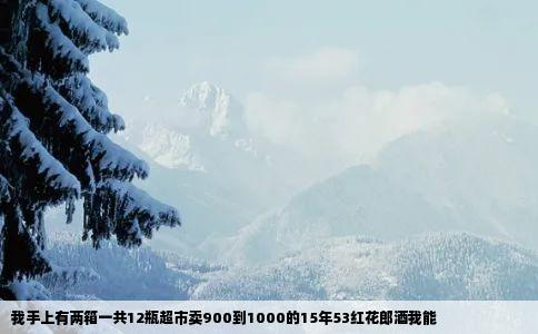 我手上有两箱一共12瓶超市卖900到1000的15年53红花郎酒我能