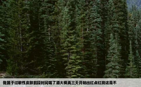 我属于过敏性皮肤前段时间喝了酒大概两三天开始出红点红斑这是不