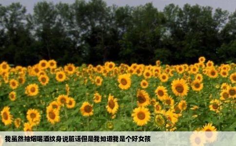 我虽然抽烟喝酒纹身说脏话但是我知道我是个好女孩