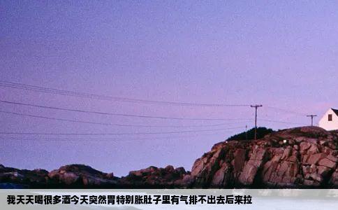 我天天喝很多酒今天突然胃特别胀肚子里有气排不出去后来拉