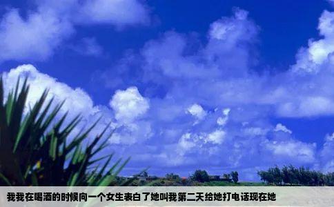 我我在喝酒的时候向一个女生表白了她叫我第二天给她打电话现在她