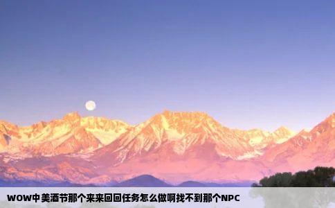 WOW中美酒节那个来来回回任务怎么做啊找不到那个NPC
