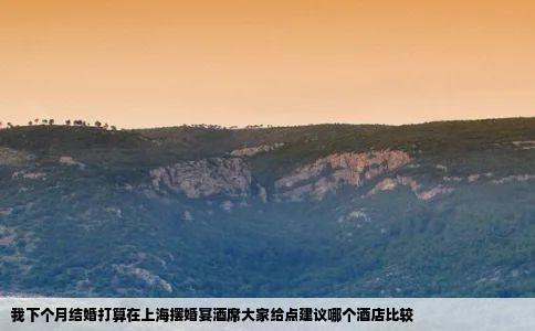 我下个月结婚打算在上海摆婚宴酒席大家给点建议哪个酒店比较