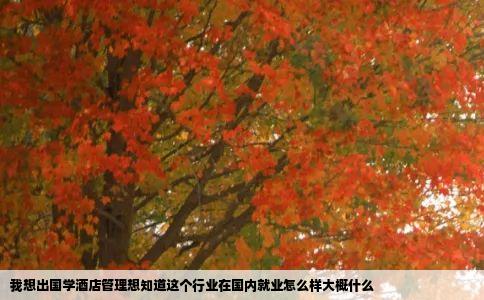 我想出国学酒店管理想知道这个行业在国内就业怎么样大概什么