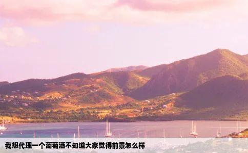 我想代理一个葡萄酒不知道大家觉得前景怎么样