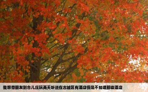 我想带朋友到台儿庄玩两天听说在古城区有酒店但是不知道那些酒店