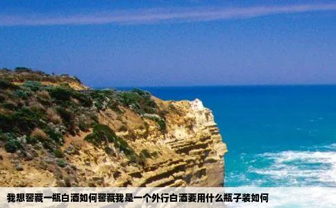 我想窖藏一瓶白酒如何窖藏我是一个外行白酒要用什么瓶子装如何