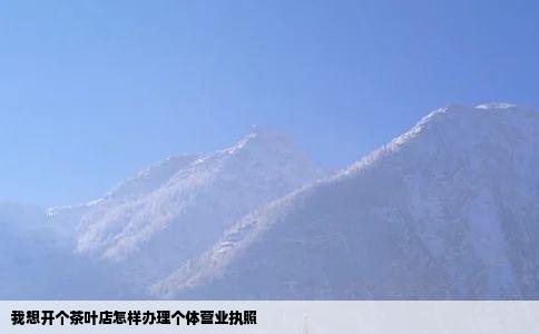 我想开个茶叶店怎样办理个体营业执照