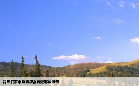 我想开家中型酒店需要做哪些准备