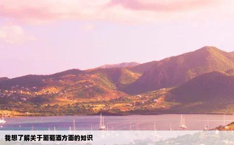 我想了解关于葡萄酒方面的知识