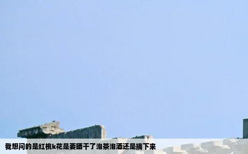 我想问的是红桃k花是要晒干了泡茶泡酒还是摘下来