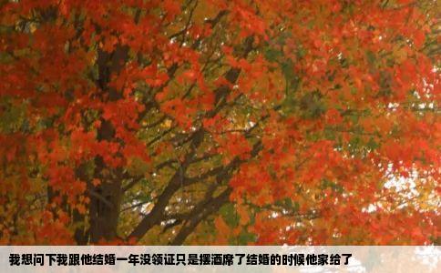 我想问下我跟他结婚一年没领证只是摆酒席了结婚的时候他家给了