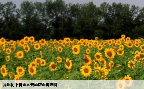 我想问下有无人去酒店面试过啊