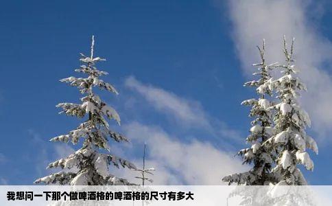 我想问一下那个做啤酒格的啤酒格的尺寸有多大