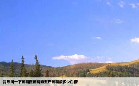 我想问一下葡萄做葡萄酒五斤葡萄放多少白糖
