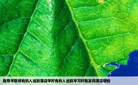 我想学厨师有的人说到酒店学好有的人说到学习好我发现酒店呢怕