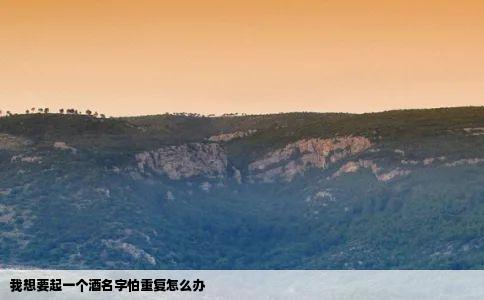 我想要起一个酒名字怕重复怎么办