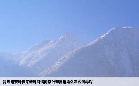 我想用茶叶棒来堵耳洞请问茶叶帮用消毒么怎么消毒吖