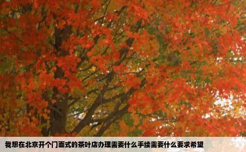我想在北京开个门面式的茶叶店办理需要什么手续需要什么要求希望