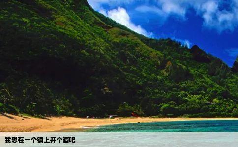 我想在一个镇上开个酒吧