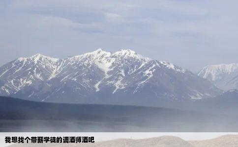 我想找个带薪学徒的调酒师酒吧