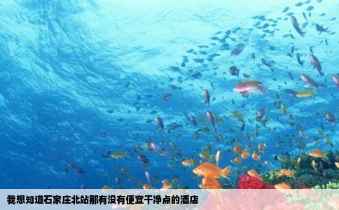 我想知道石家庄北站那有没有便宜干净点的酒店