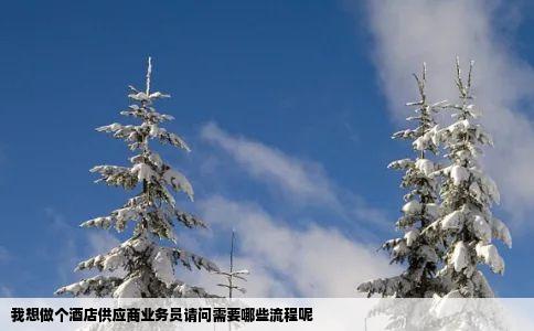 我想做个酒店供应商业务员请问需要哪些流程呢