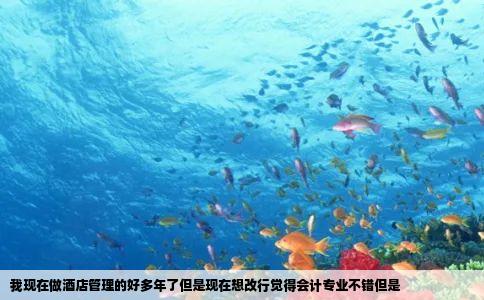 我现在做酒店管理的好多年了但是现在想改行觉得会计专业不错但是