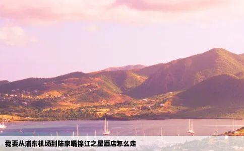 我要从浦东机场到陆家嘴锦江之星酒店怎么走