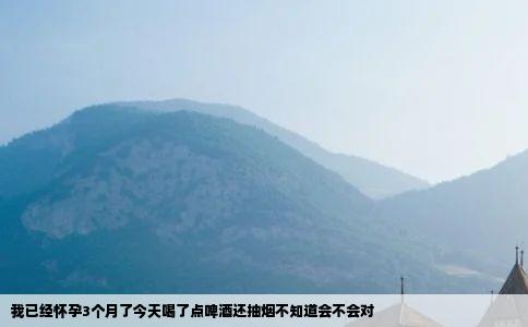 我已经怀孕3个月了今天喝了点啤酒还抽烟不知道会不会对