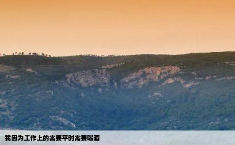 我因为工作上的需要平时需要喝酒