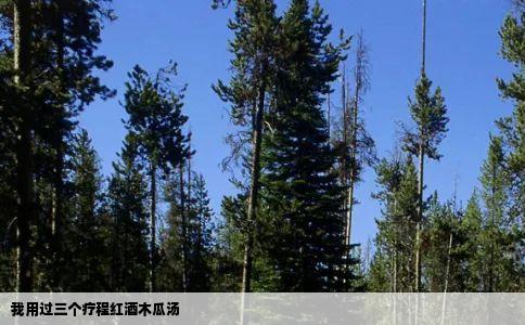 我用过三个疗程红酒木瓜汤