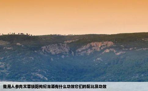 我用人参肉苁蓉锁阳枸杞泡酒有什么功效它们的配比及功效