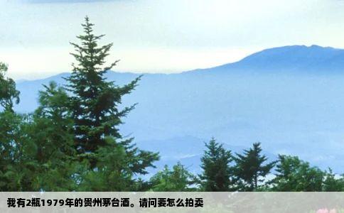 我有2瓶1979年的贵州茅台酒。请问要怎么拍卖