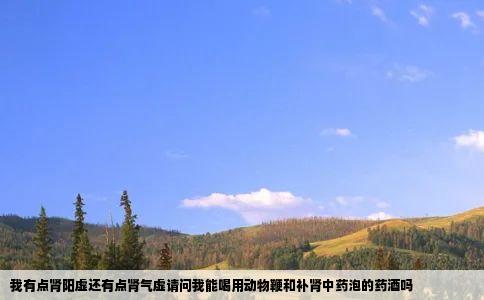 我有点肾阳虚还有点肾气虚请问我能喝用动物鞭和补肾中药泡的药酒吗