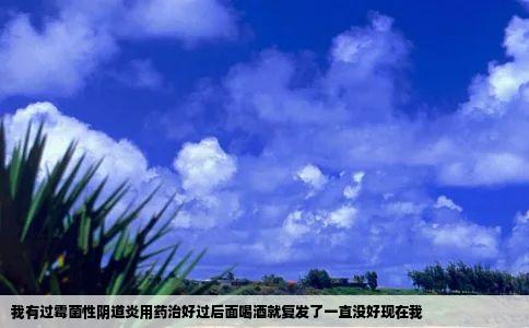 我有过霉菌性阴道炎用药治好过后面喝酒就复发了一直没好现在我