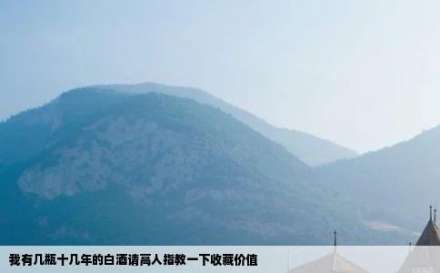 我有几瓶十几年的白酒请高人指教一下收藏价值