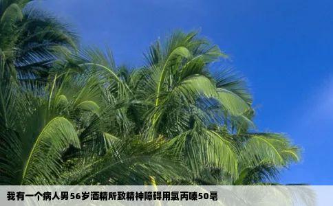 我有一个病人男56岁酒精所致精神障碍用氯丙嗪50毫