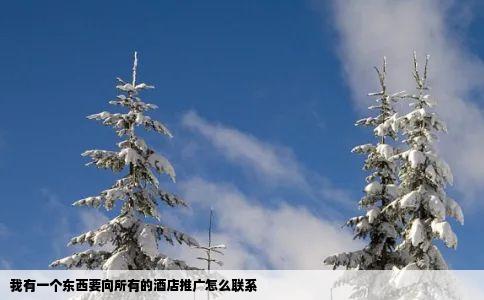 我有一个东西要向所有的酒店推广怎么联系