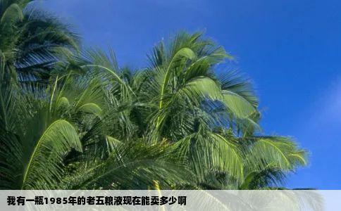 我有一瓶1985年的老五粮液现在能卖多少啊