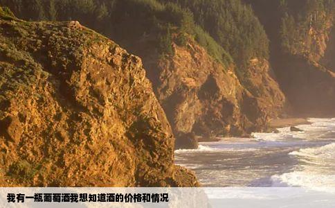我有一瓶葡萄酒我想知道酒的价格和情况