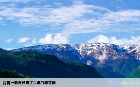 我有一瓶自己泡了六年的鹿茸酒
