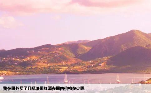 我在国外买了几瓶法国红酒在国内价格多少呢