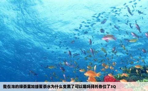 我在泡的绿茶里加蜂蜜茶水为什么变黑了可以喝吗拜托各位了3Q